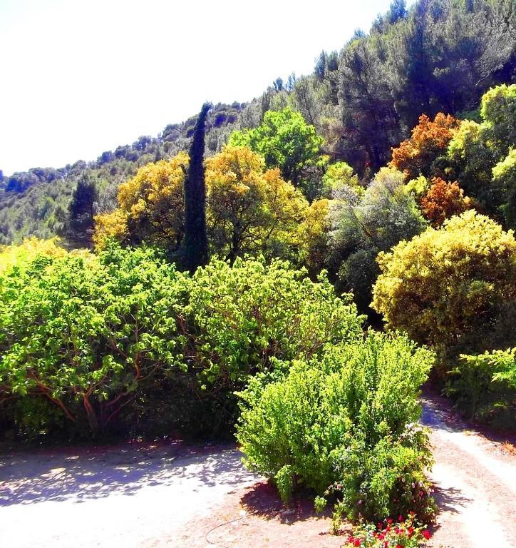 La Bastide Du Vallon Affittacamere Saumane-de-Vaucluse Esterno foto